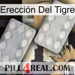 Erección Del Tigre 17